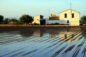 Huerta Valencia